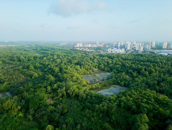 Comment la prévention sociale peut transformer la criminalité : une analyse approfondie