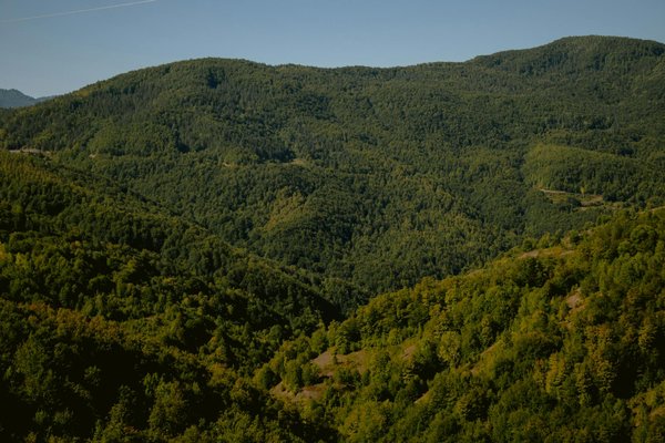 Comment la Méteo Transforme votre Aventure sur les Montagnes Russes